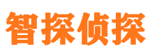 安定市侦探调查公司